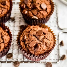 Double Chocolate Muffins