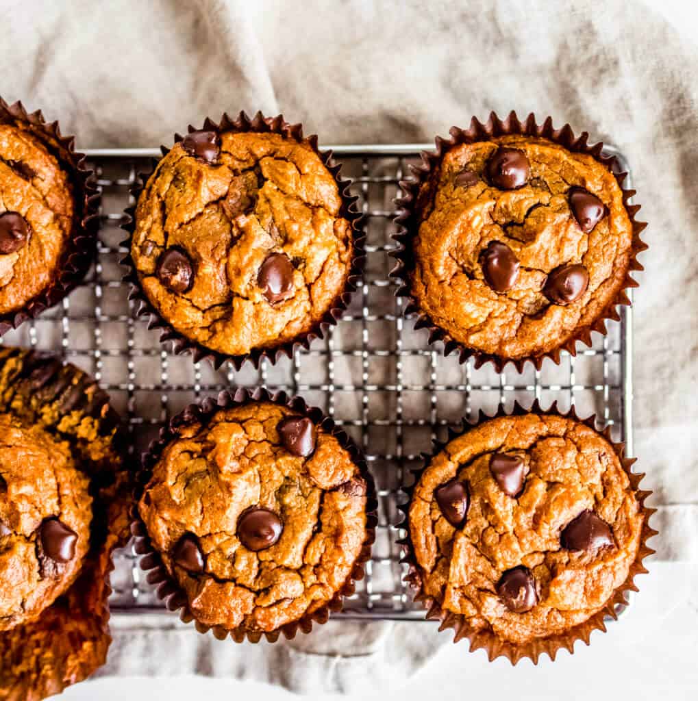 an overhead shot of keto pumpkin muffins with chocolate chips
