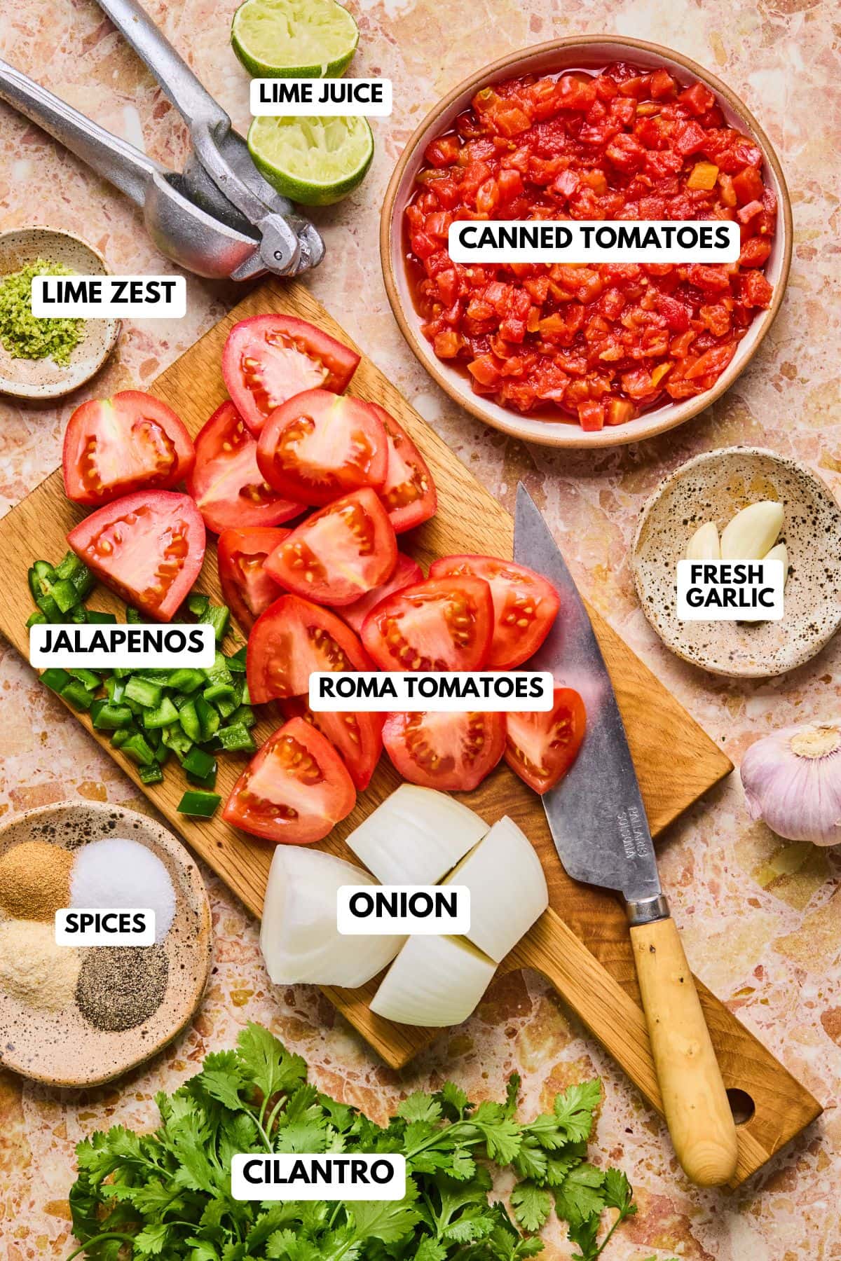 Flat lay of fresh salsa ingredients including Roma tomatoes, canned diced tomatoes, red onion, jalapeño, garlic, cilantro, lime, and seasonings on a white surface.