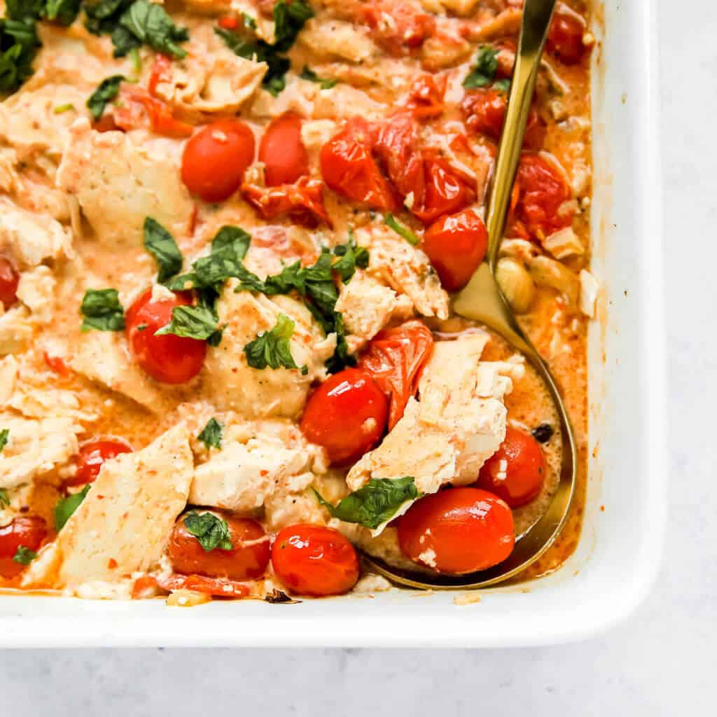 creamy chicken and tomato bake topped with basil in a white dish with a white background