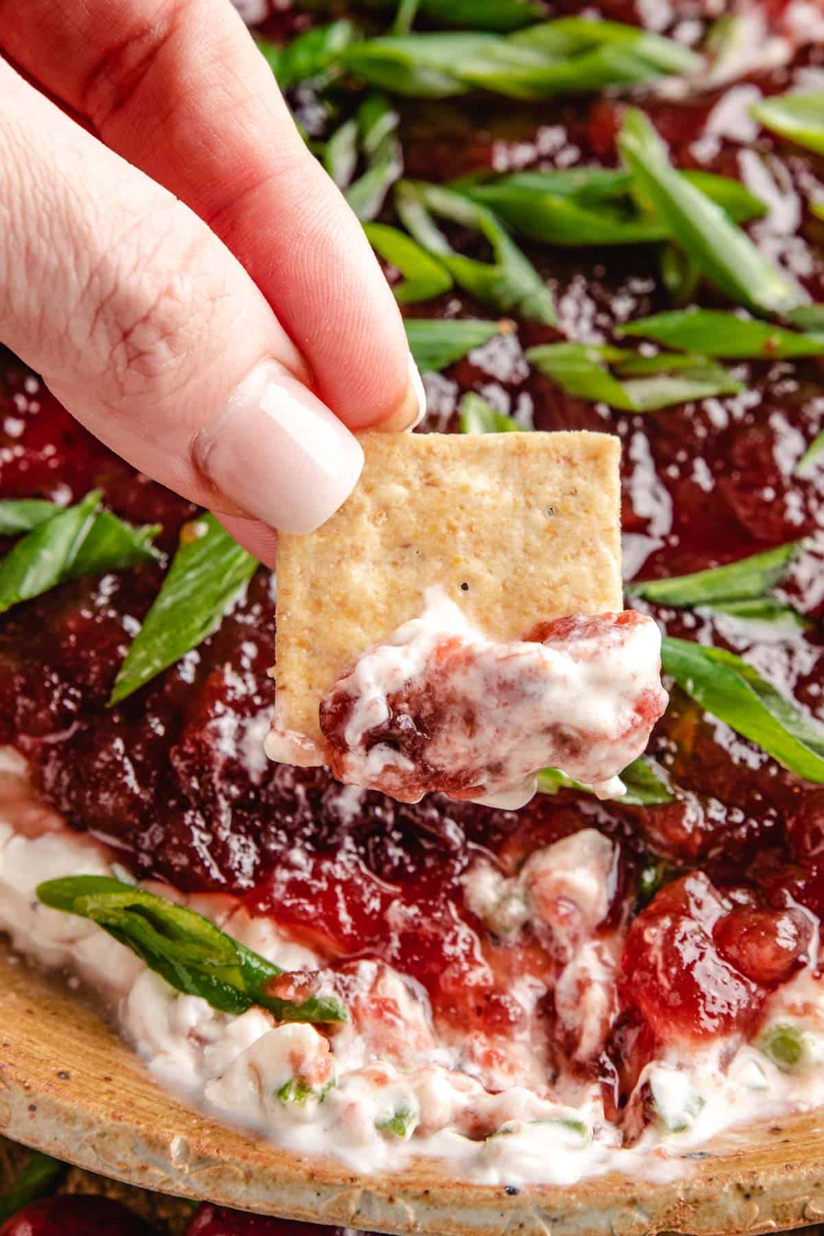 a hand holding a cracker that was dipped in cranberry jalapeno dairy free dip