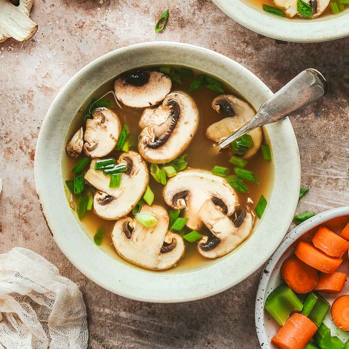 Mushroom onion best sale soup