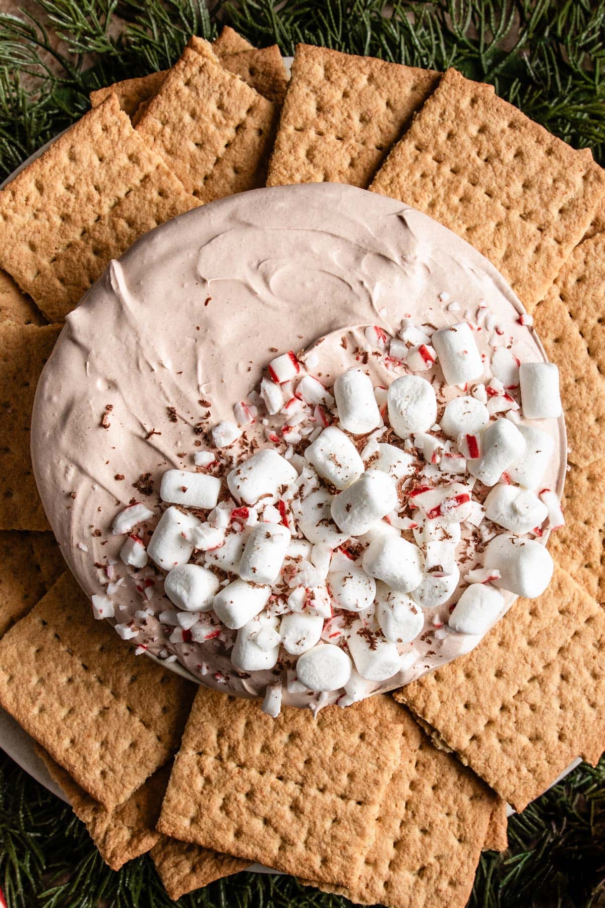 an overhead shot of hot chocolate dip surrounded by graham crackers