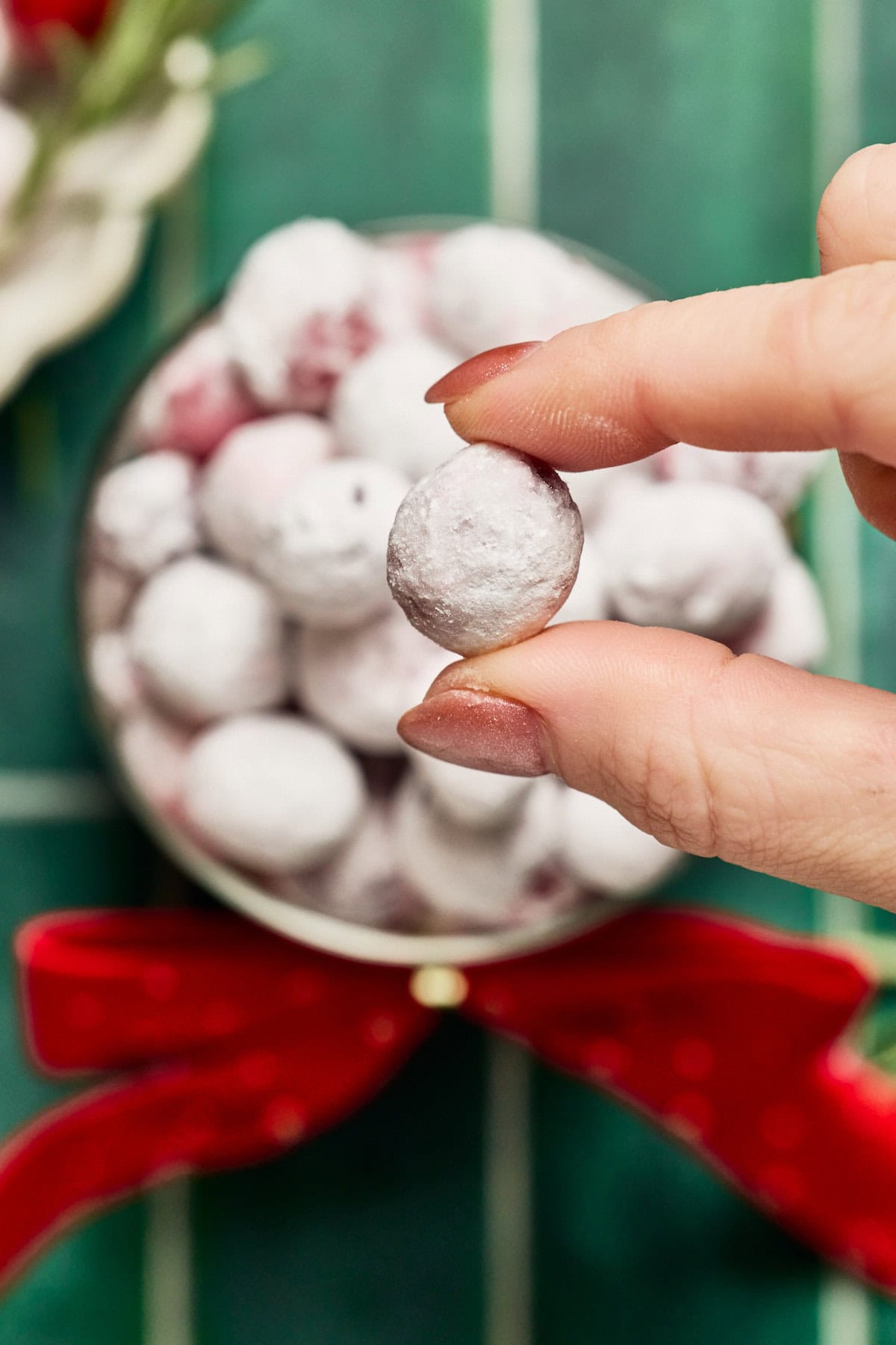 a hand holding one cranberry 