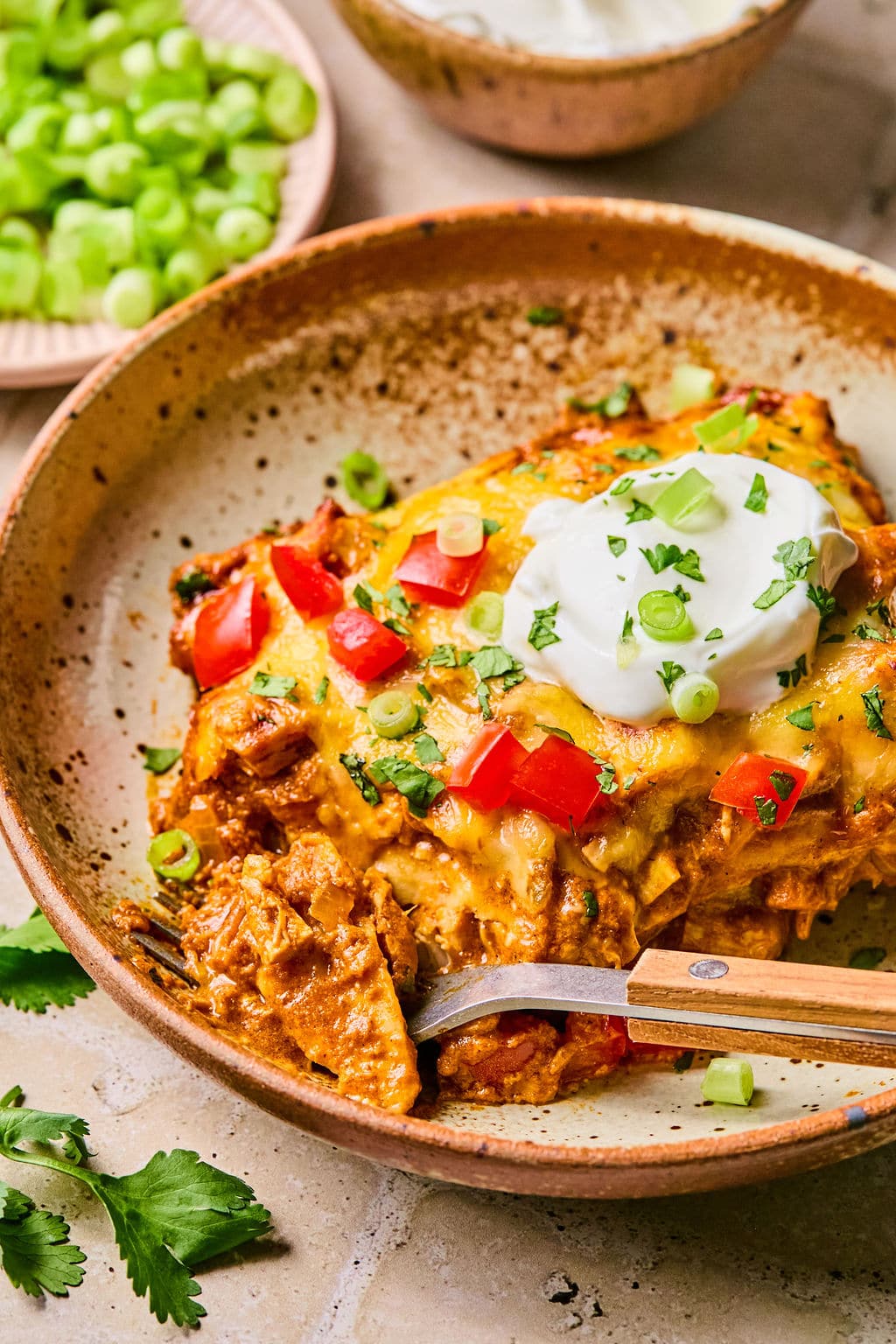 Close-up of a leftover turkey enchilada casserole slice garnished with diced tomatoes, Greek yogurt, green onions, and herbs.