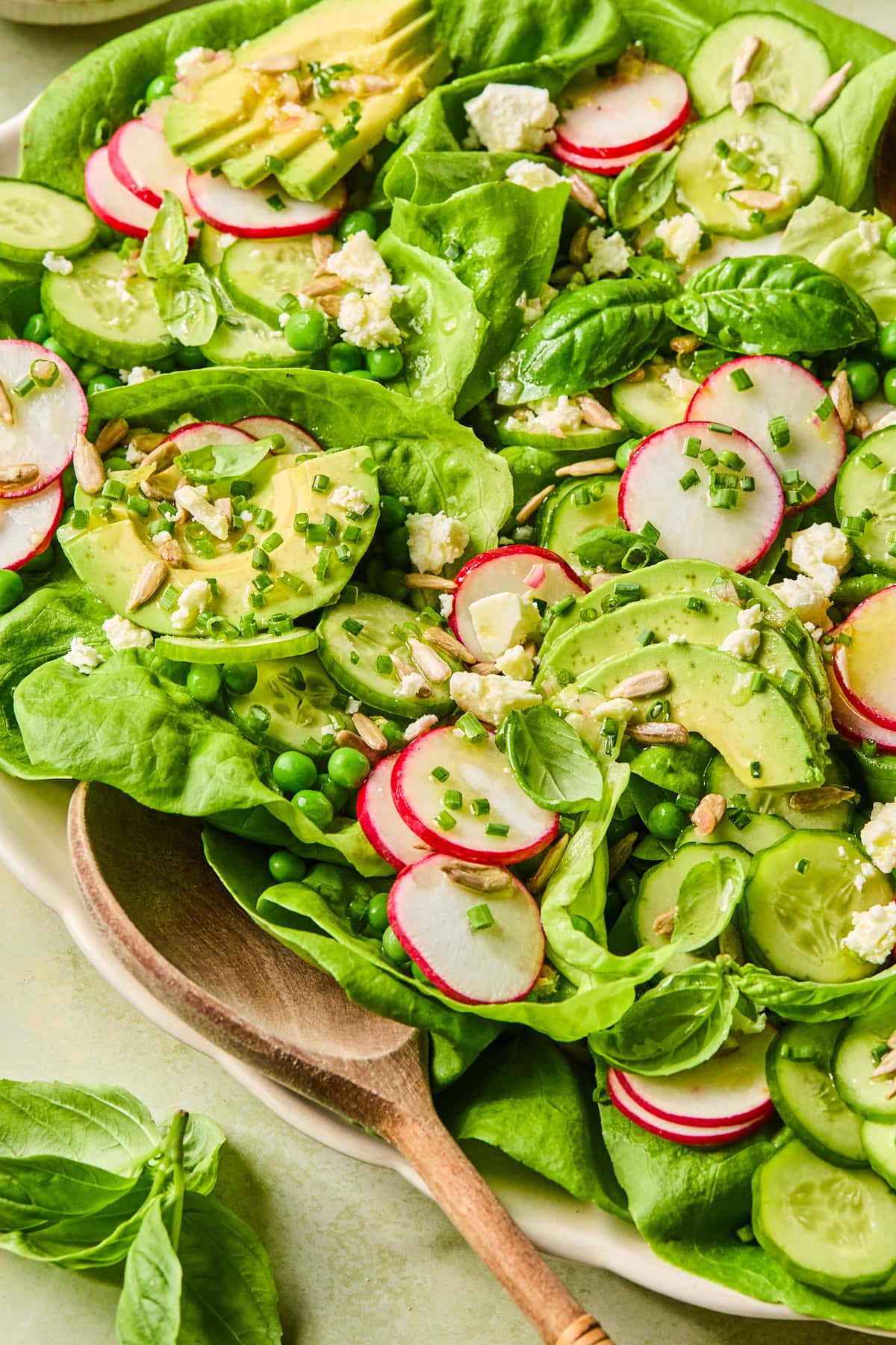 Assembled spring salad with peas, cucumbers, radishes, feta, avocado, chives, sunflower seeds, and basil.