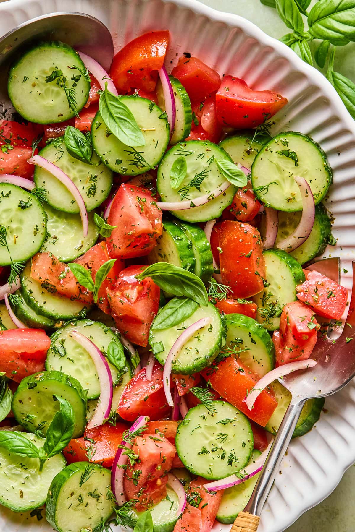Close-up of tomato cucumber salad with cucumbers, tomatoes, red onion, basil, and dill in a serving bowl.